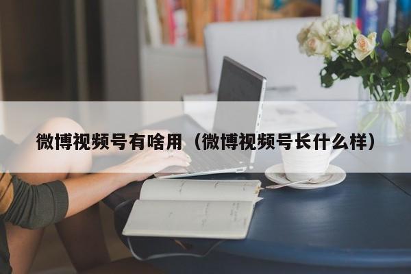 微博视频号有啥用（微博视频号长什么样） 第1张