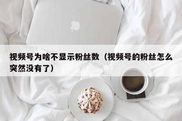 视频号为啥不显示粉丝数（视频号的粉丝怎么突然没有了） 第1张