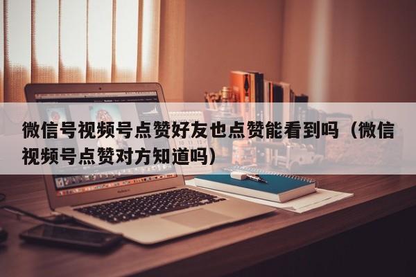 微信号视频号点赞好友也点赞能看到吗（微信视频号点赞对方知道吗） 第1张