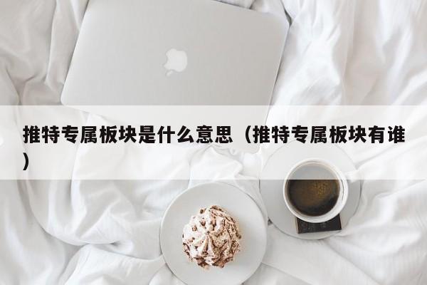 推特专属板块是什么意思（推特专属板块有谁） 第1张