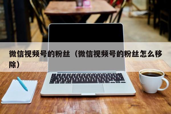 微信视频号的粉丝（微信视频号的粉丝怎么移除） 第1张