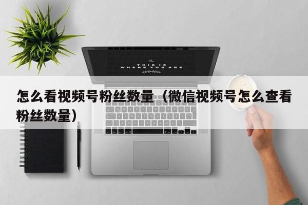 怎么看视频号粉丝数量（微信视频号怎么查看粉丝数量） 第1张