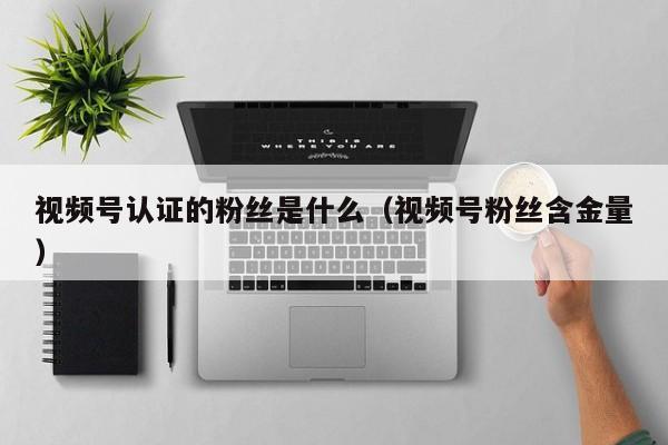 视频号认证的粉丝是什么（视频号粉丝含金量） 第1张