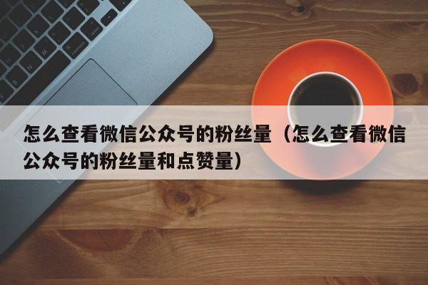 怎么查看微信公众号的粉丝量（怎么查看微信公众号的粉丝量和点赞量） 第1张
