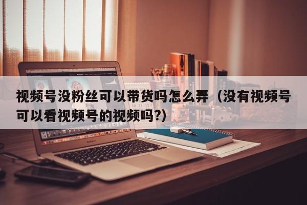 视频号没粉丝可以带货吗怎么弄（没有视频号可以看视频号的视频吗?） 第1张