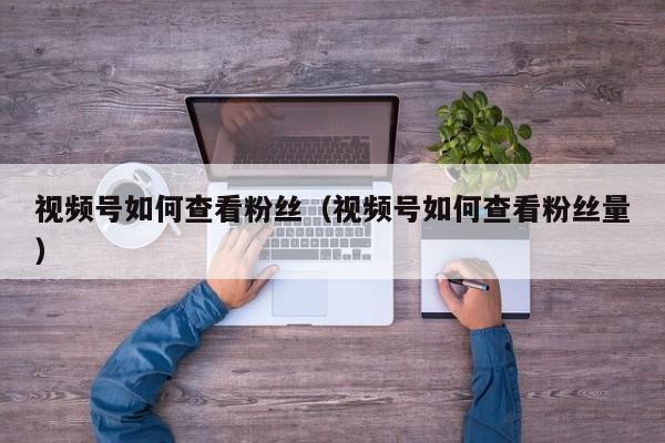视频号如何查看粉丝（视频号如何查看粉丝量） 第1张