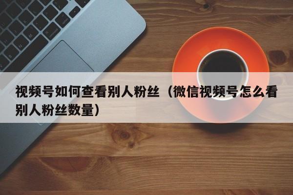 视频号如何查看别人粉丝（微信视频号怎么看别人粉丝数量） 第1张