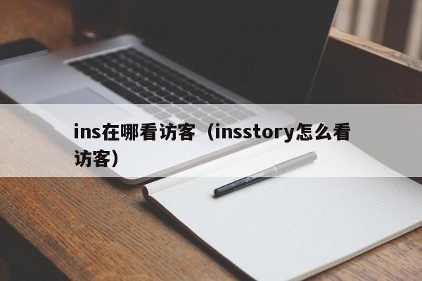 ins在哪看访客（insstory怎么看访客） 第1张