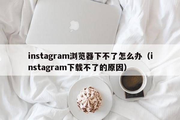 instagram浏览器下不了怎么办（instagram下载不了的原因） 第1张