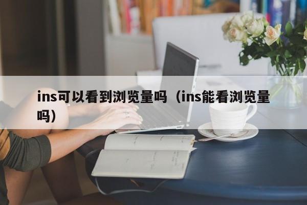 ins可以看到浏览量吗（ins能看浏览量吗） 第1张
