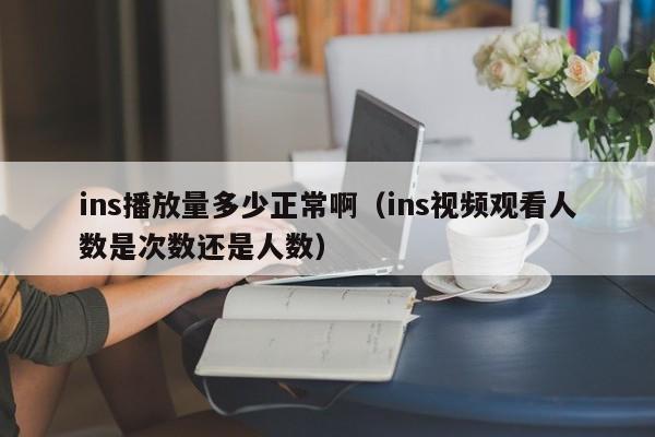 ins播放量多少正常啊（ins视频观看人数是次数还是人数） 第1张