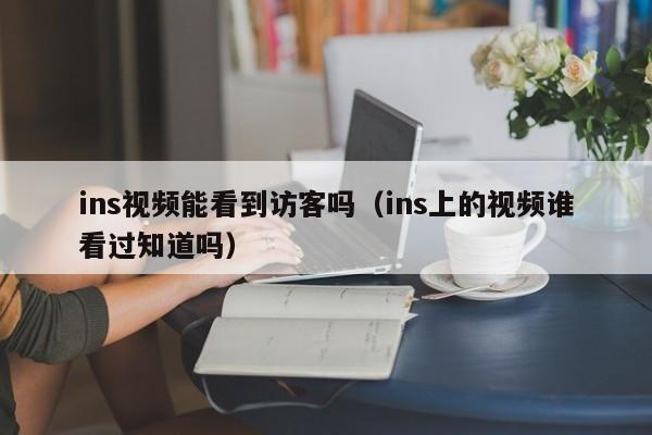 ins视频能看到访客吗（ins上的视频谁看过知道吗） 第1张