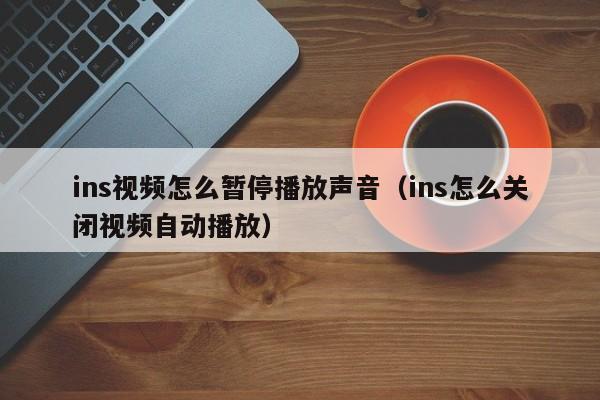 ins视频怎么暂停播放声音（ins怎么关闭视频自动播放） 第1张