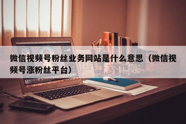 微信视频号粉丝业务网站是什么意思（微信视频号涨粉丝平台） 第1张